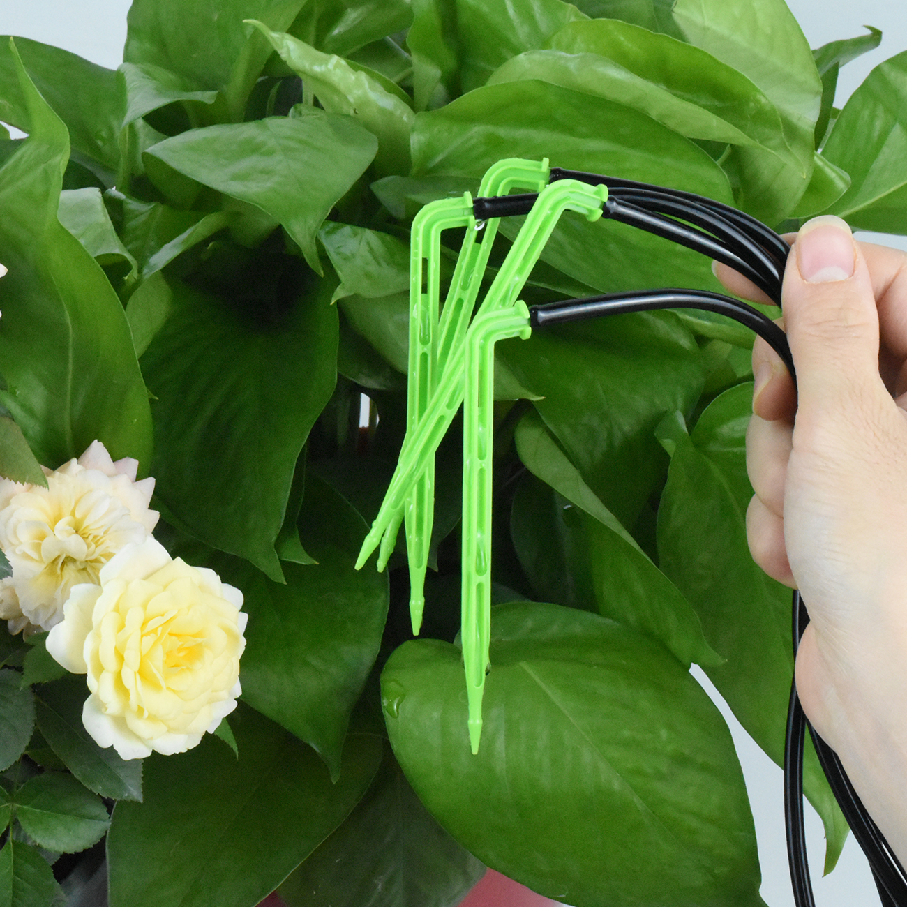 KESLA Garden 4/7 مللي متر إلى  - مراجعة Irrigation Drip Tape وسعره