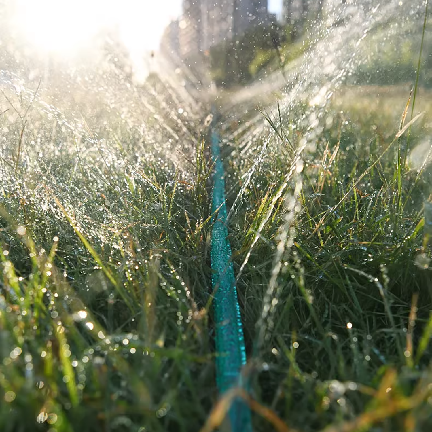 3/4.5/7.5/10/15 متر خرطوم نقع  - مراجعة Irrigation Drip Tape وسعره