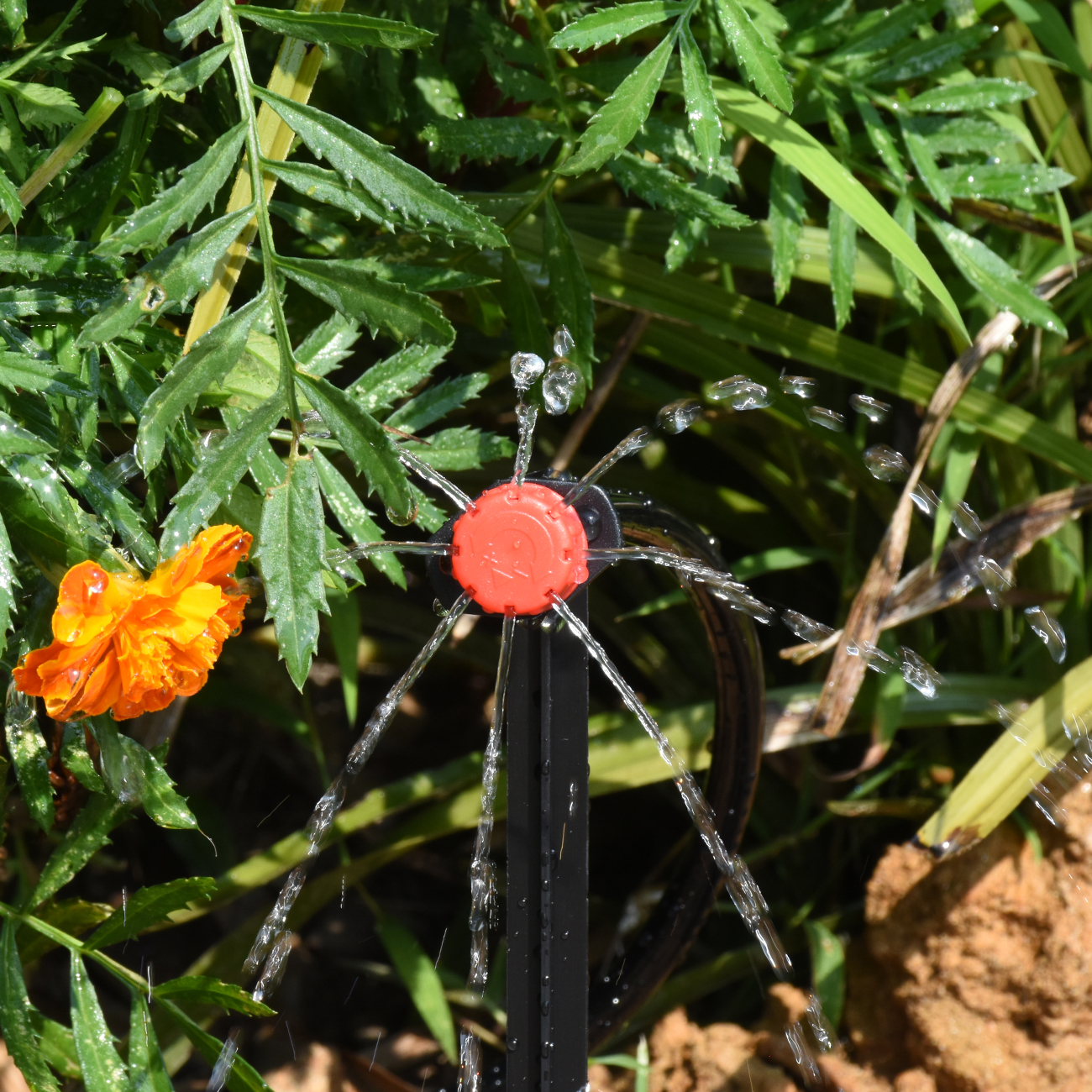 KESLA 30-800X حديقة بالتنقيط م - مراجعة Irrigation Drip Tape وسعره