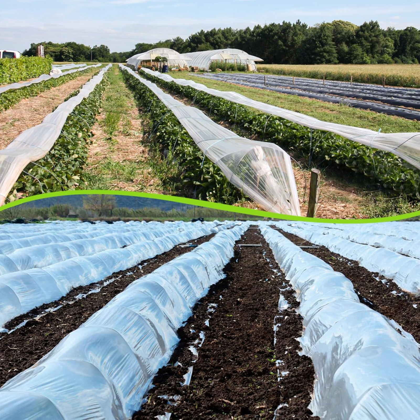 فيلم بلاستيكي شفاف للبيوت الزج - مراجعة Greenhouse Plastic Film وسعره